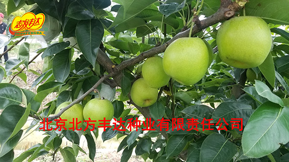 �������������ҵ���޹�˾